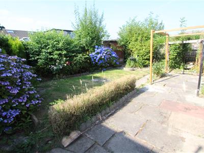 Picture 10
